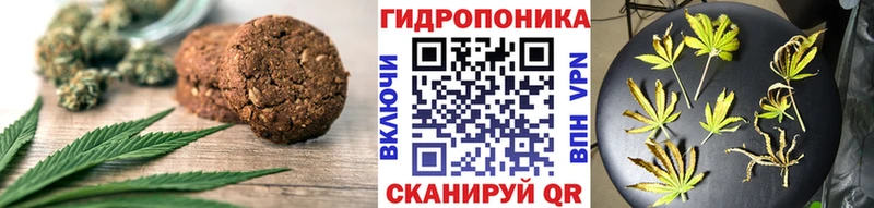 Canna-Cookies конопля  цена наркотик  Одинцово 