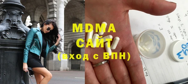 шишки Гусиноозёрск