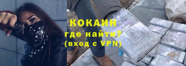 шишки Гусиноозёрск