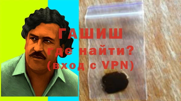 гашик Гусев