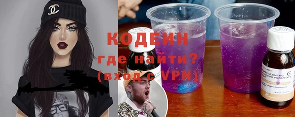 шишки Гусиноозёрск