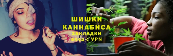 шишки Гусиноозёрск
