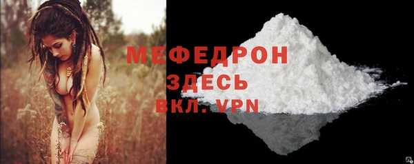 шишки Гусиноозёрск