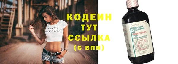 шишки Гусиноозёрск