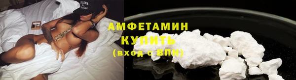 гашик Гусев