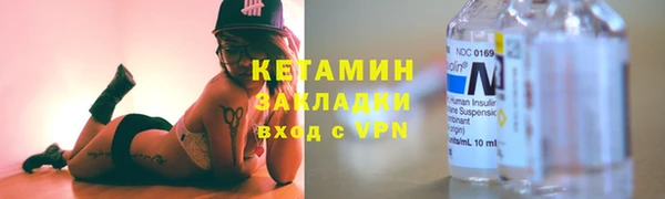 шишки Гусиноозёрск