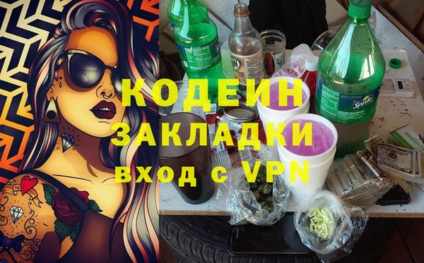 гашик Гусев