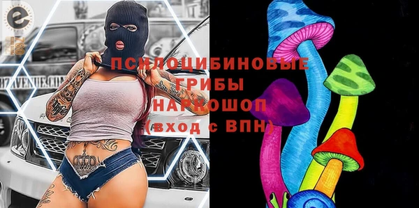 гидра Дмитровск