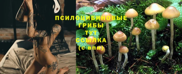 синтетический гашиш Фёдоровский