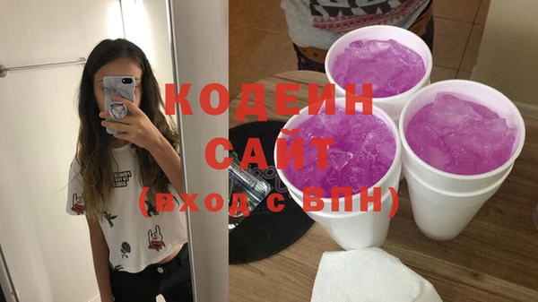 шишки Гусиноозёрск
